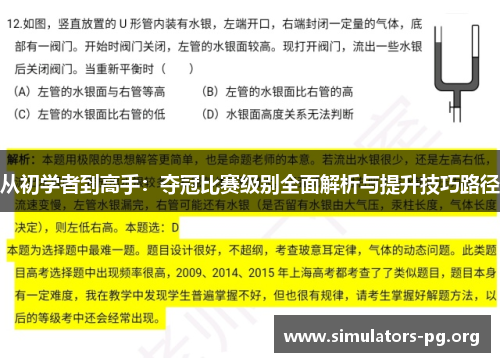 从初学者到高手：夺冠比赛级别全面解析与提升技巧路径