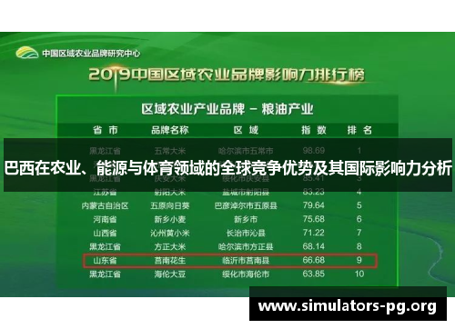 巴西在农业、能源与体育领域的全球竞争优势及其国际影响力分析