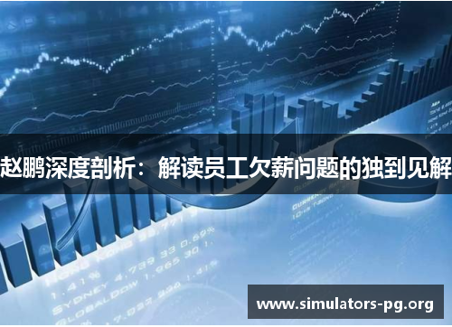 赵鹏深度剖析：解读员工欠薪问题的独到见解