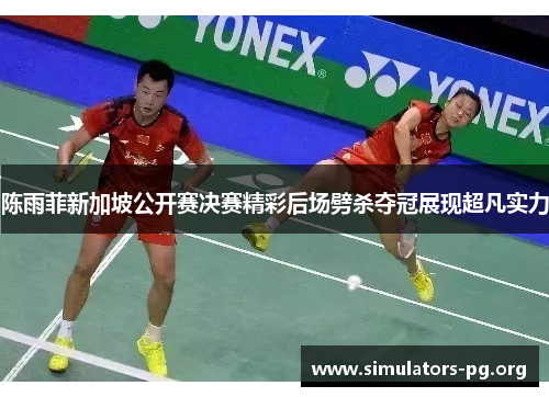 陈雨菲新加坡公开赛决赛精彩后场劈杀夺冠展现超凡实力