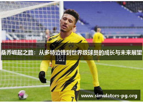 桑乔崛起之路：从多特边锋到世界级球员的成长与未来展望