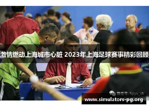 激情燃动上海城市心脏 2023年上海足球赛事精彩回顾